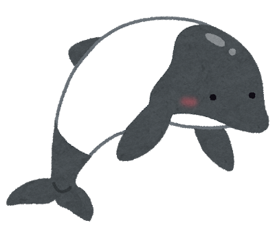 イルカは何科 仲間の動物や祖先についても